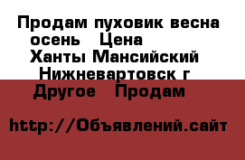 Продам пуховик весна-осень › Цена ­ 4 500 - Ханты-Мансийский, Нижневартовск г. Другое » Продам   